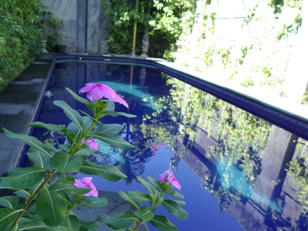 Hotel Bali Aman Darling House Canggu Zewnętrze zdjęcie