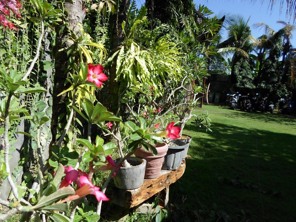 Hotel Bali Aman Darling House Canggu Zewnętrze zdjęcie