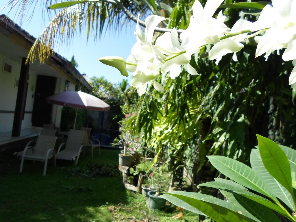 Hotel Bali Aman Darling House Canggu Zewnętrze zdjęcie