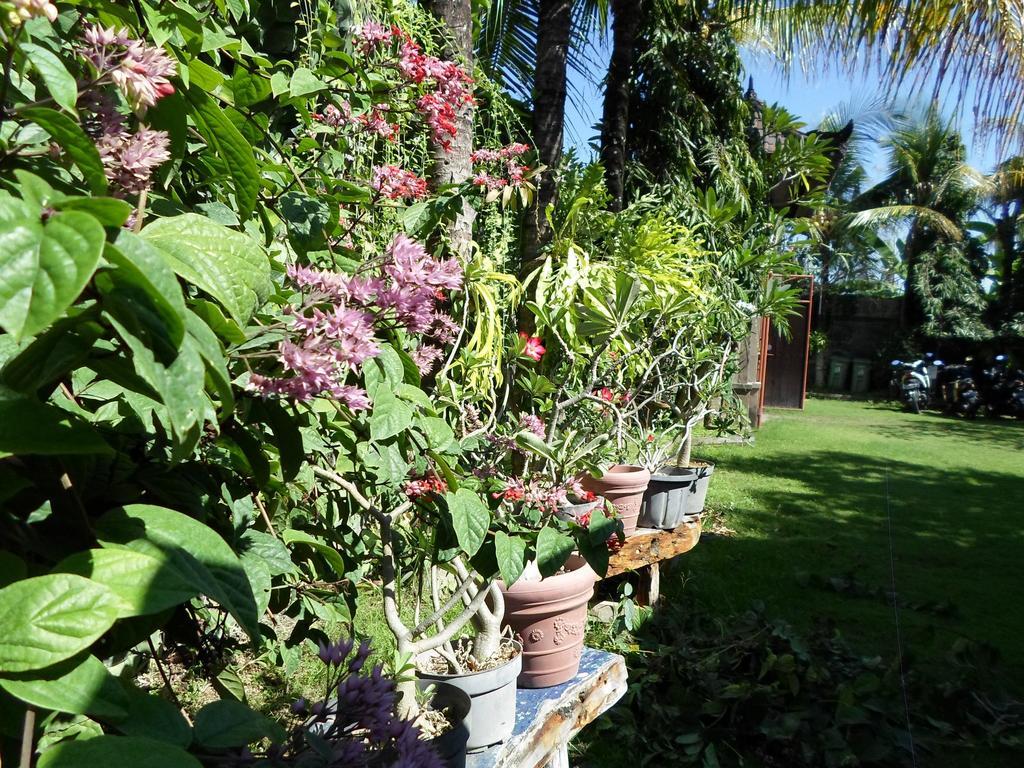 Hotel Bali Aman Darling House Canggu Zewnętrze zdjęcie