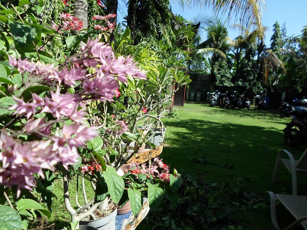 Hotel Bali Aman Darling House Canggu Zewnętrze zdjęcie